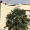 How many layers of roofing are allowed on a flat roof?