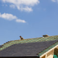 Residential Roofing Project In Brunswick: How A Roofing Contractor Can Help?